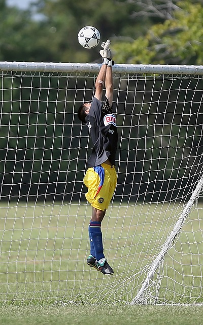 诚然为新西 诚然为新西